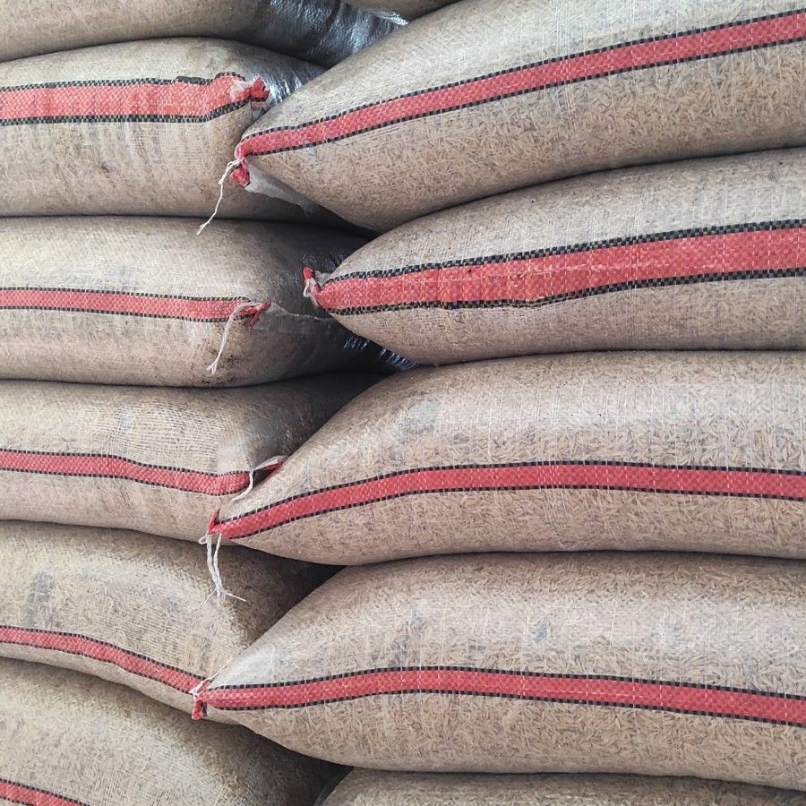 BORI  SACKS